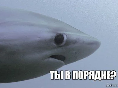 _Мой дом - моя крепость__ Как американец защитил свой дом и семью от грабитилей.webp