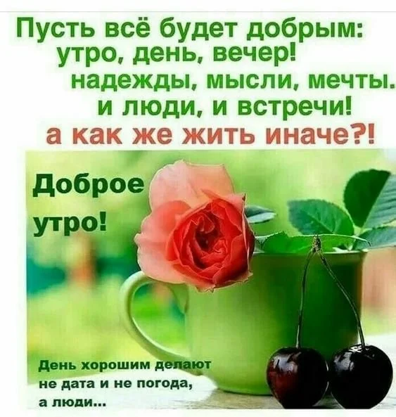 _моим_друзьям.webp