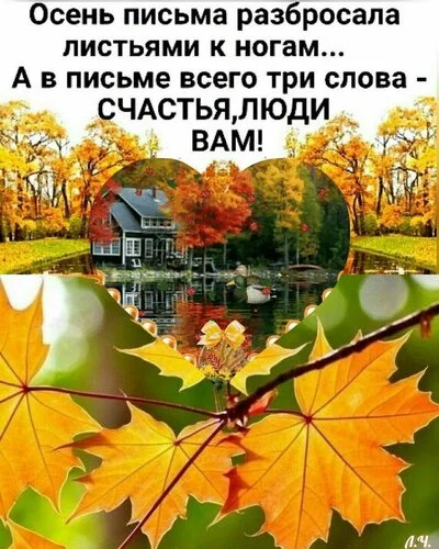 _осень_листья_разбросала.webp