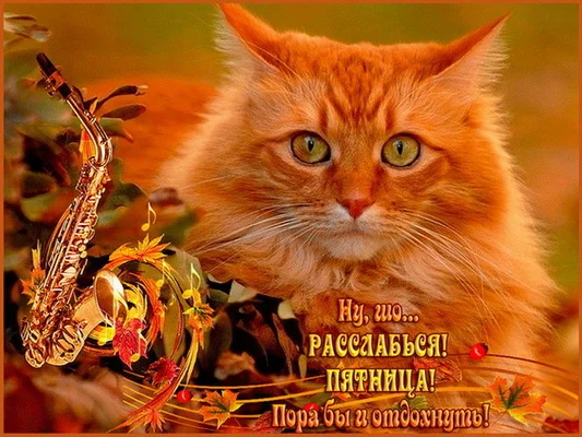 _пятница 6_p01.webp