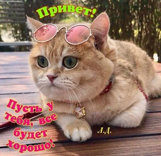 _привет_пусть_у_тебя_все_будет.webp