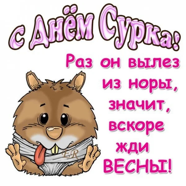 _с_днём_сурка_раз_он_вылез_из.webp