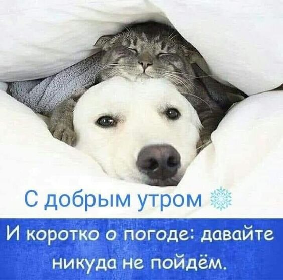 _с_добрым_утром_коротко_о_погоде.jpg