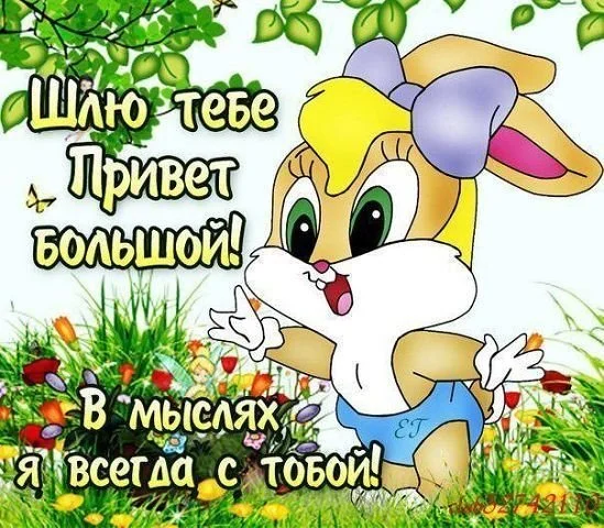 _шлю_тебе_привет_большой_в_мыслях.webp