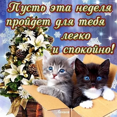 _удачной недели 14.webp