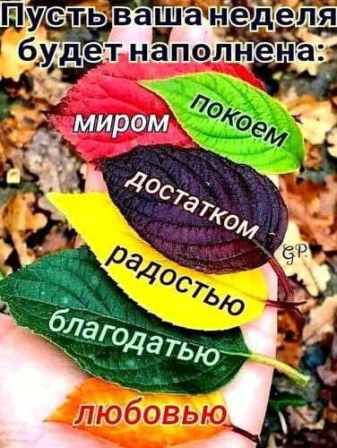 _удачной_недели.jpg