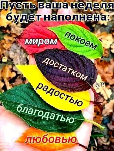 _удачной_недели.webp