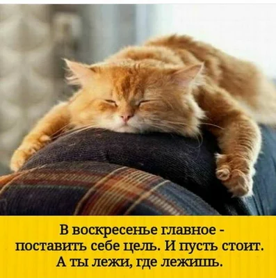 _воскресенье 23.webp