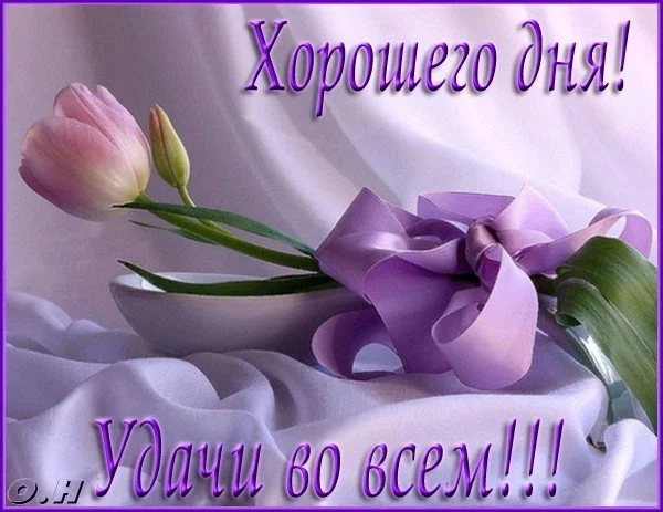 _хорошего_дня_удачи_во_всем.webp