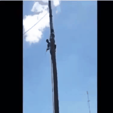 _yapfiles.ru (2).gif