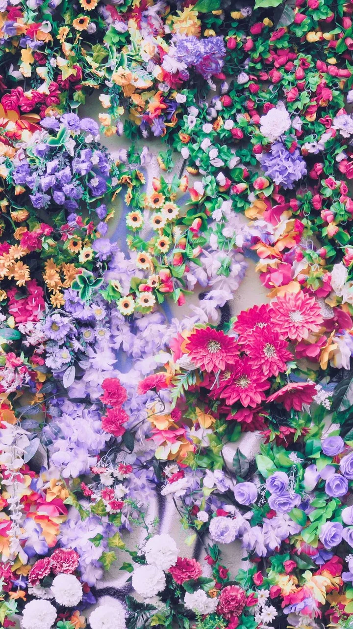 ☀ A M  I T ☀_paradise's flower_ak1qQWFe.webp