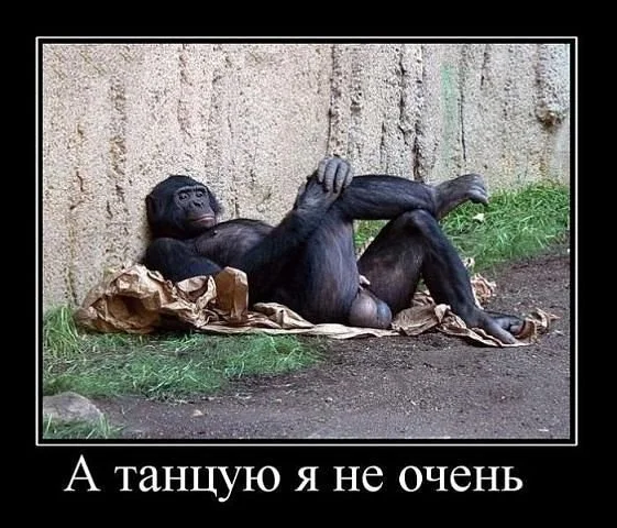 а танцую я не очень.webp