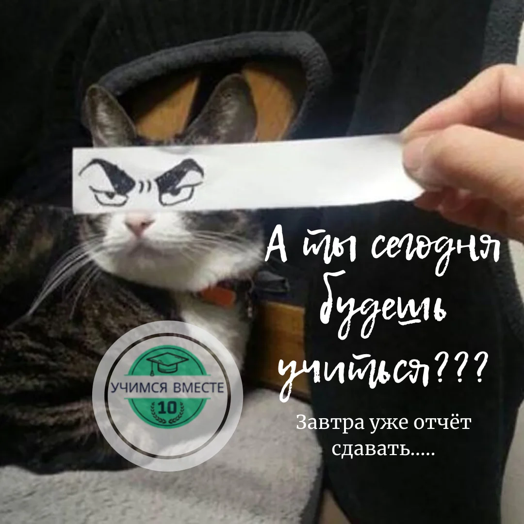 А ты сегодня будешь учиться___ (1).webp