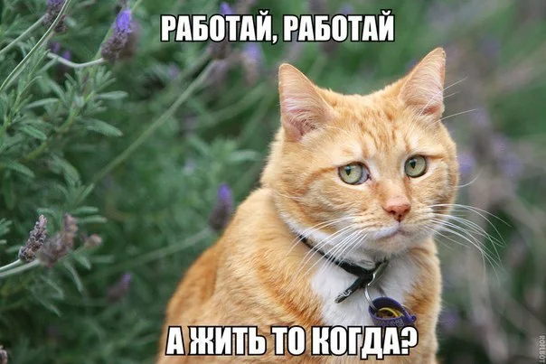 A02qzZTx0Lw.webp