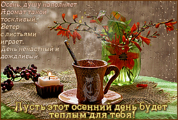 a048fb13-8b1d-9c18-c968-ae55eda2ff84.gif