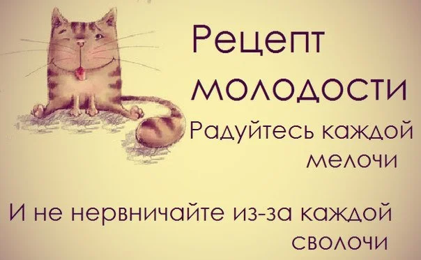 A13SrHqlFfk.webp
