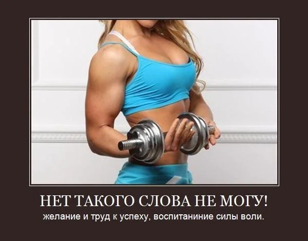 a1734648dcdfa7288e023543a416247a.webp