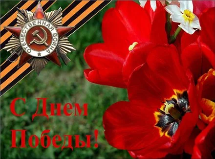 a17adf0dd7f4.webp