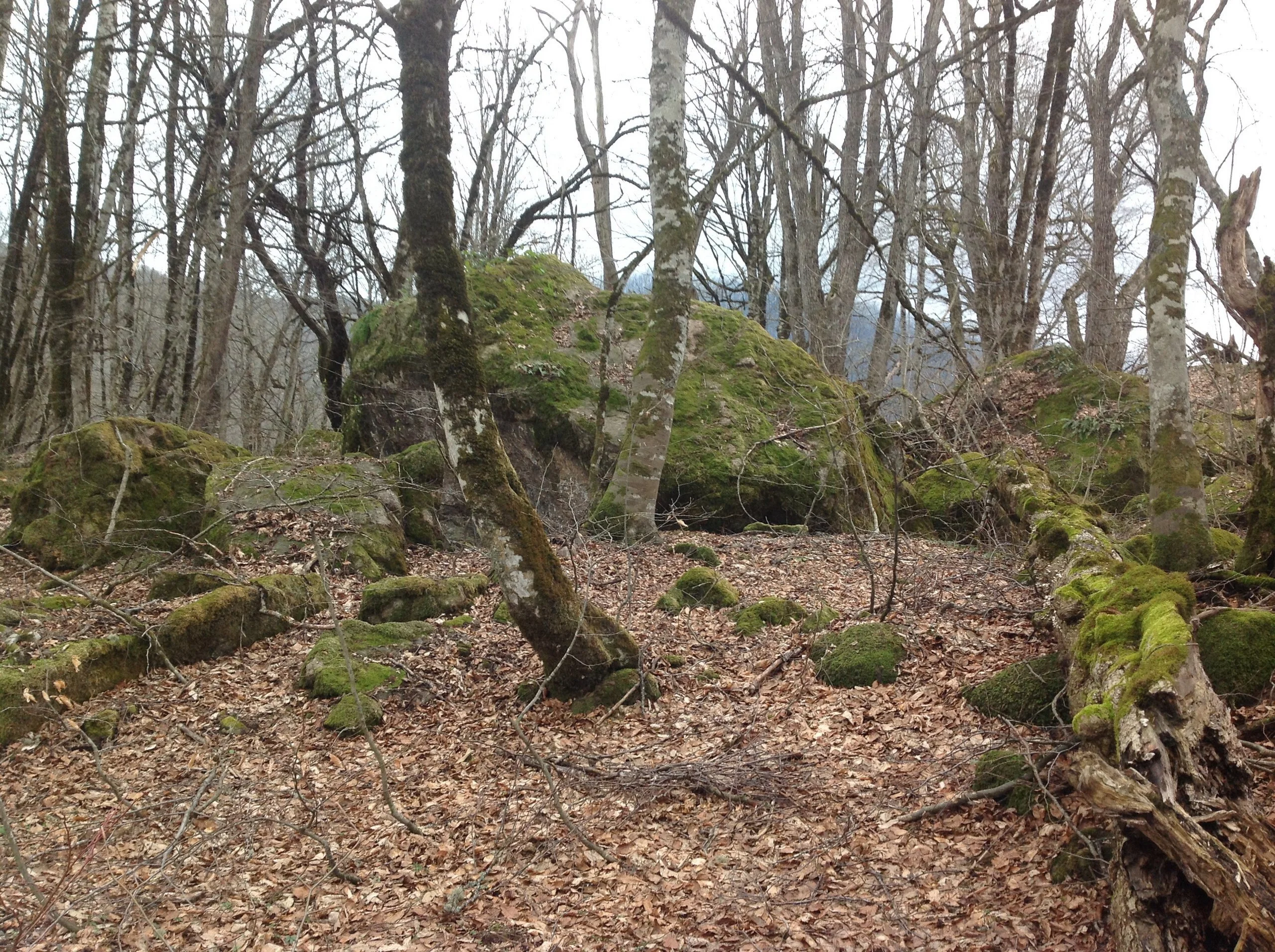 А19 камни.webp