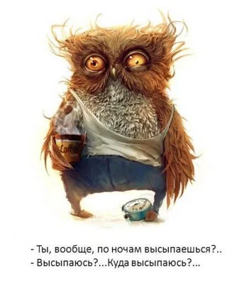 a1e5a453d1b455de54209a6eabd12543.webp