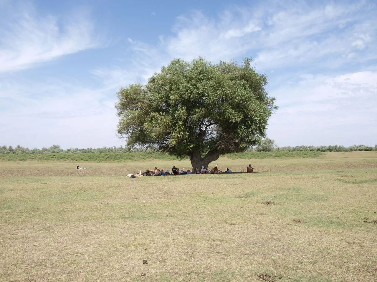 А33 перекус.webp