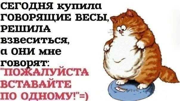 a38fec56176be43a07b29d66b5dbcd55.webp