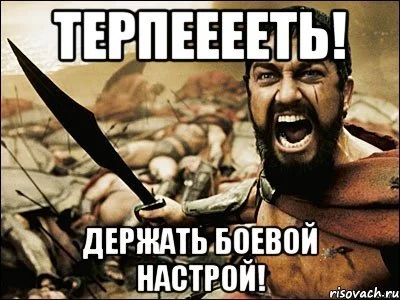 a3f4c892fac2.webp