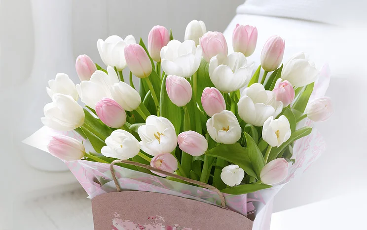 a4a1f35bb2c2.webp