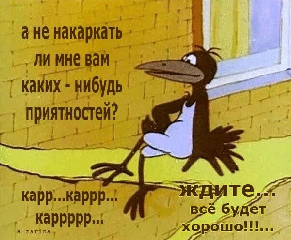 a56afe4bbd355846b14a7063b036638a (1).webp