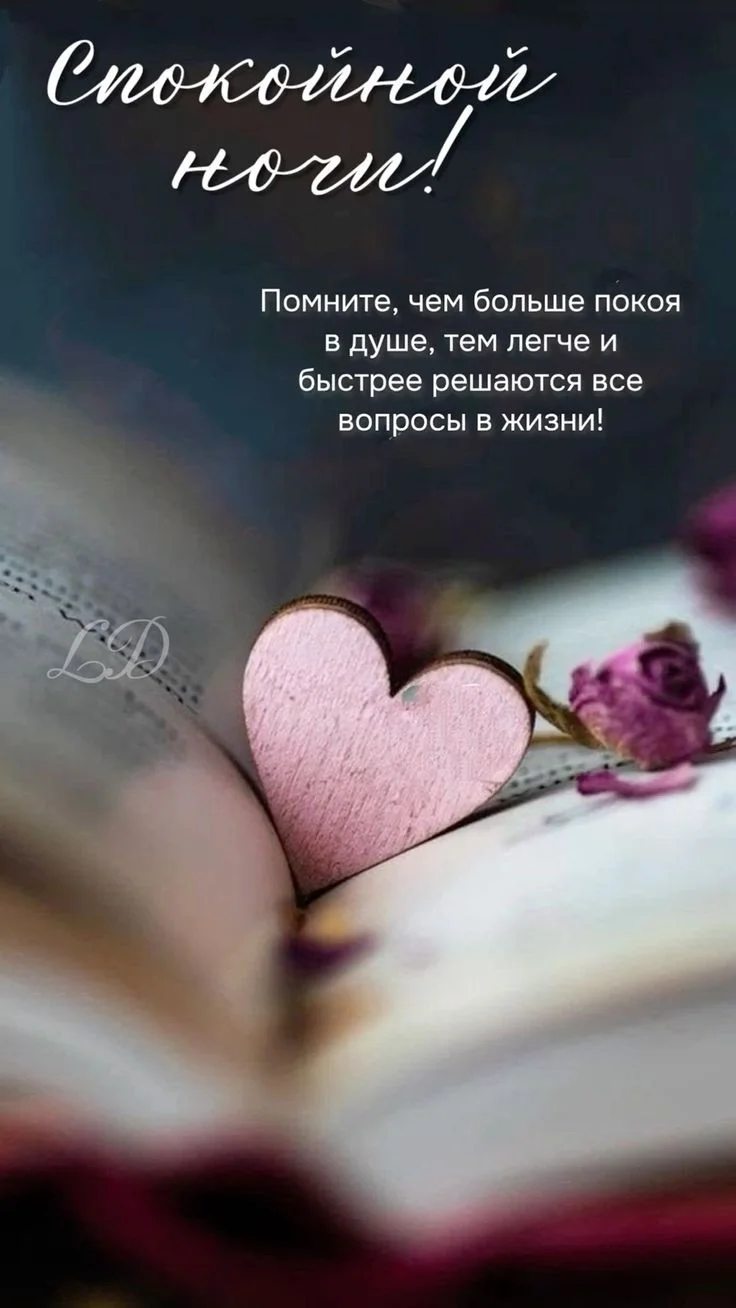 a62973716bdaebcffb0e2515cd10cae1 (1).webp