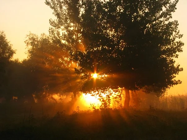 А7 Пейзаж.webp