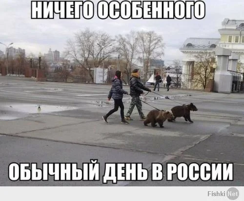 a700671de1201511b9340503e5d870bb.webp