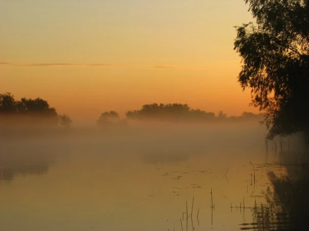 А8 Пейзаж.webp