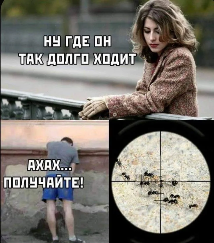 a82465d60b6823621ff536612e932866.webp