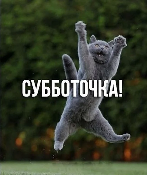 a8HKbYSmZSk (1).webp