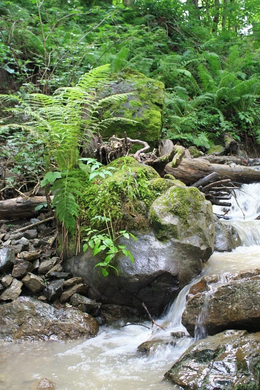 А9 Мзымта исток.webp