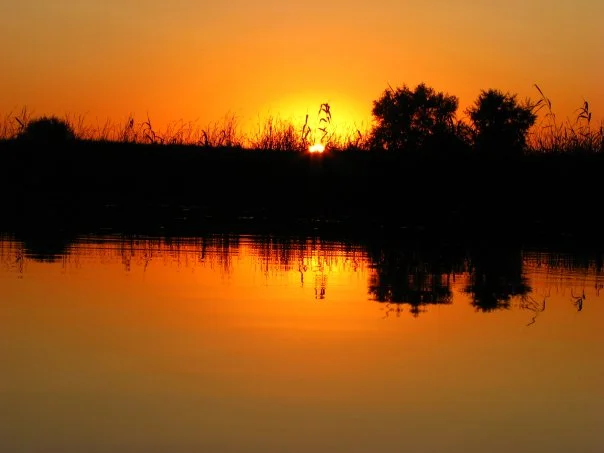 А9 Пейзаж.webp