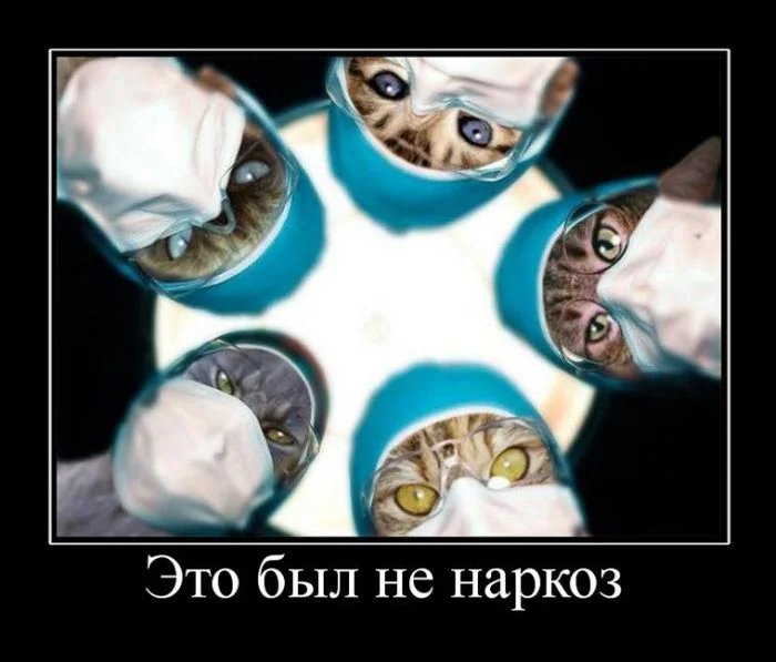 a99104c1da4e8a713dfa0829aa4e4715.webp