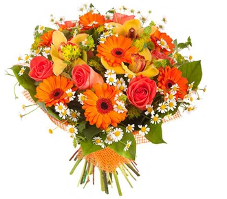 a9c344be41b09f231b1df87607c48295 (1).webp