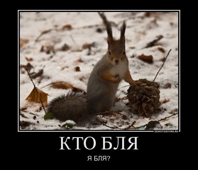 a_110.webp