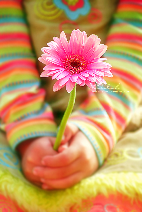 a_flower_of_hope_by_loolah.jpg