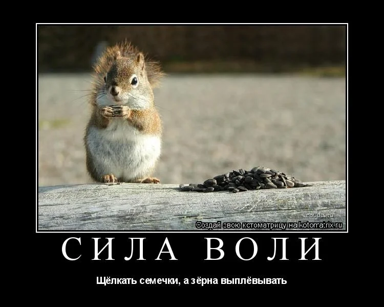 AAB.webp