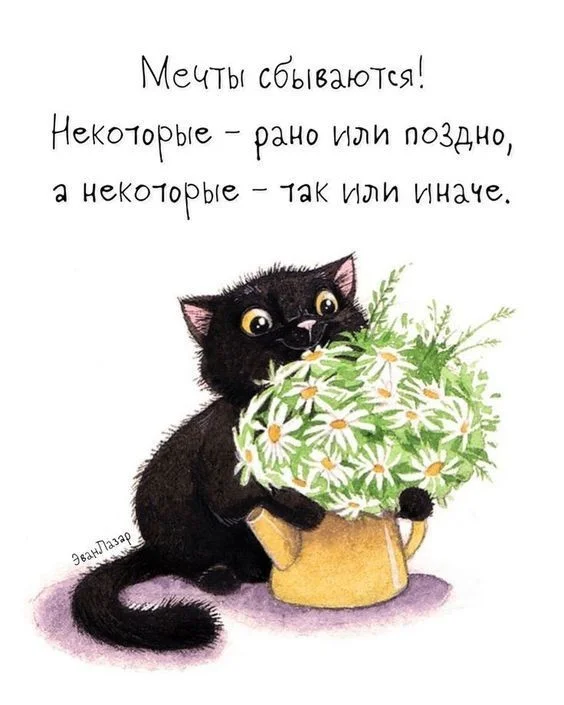 ab4b125b40e4dc583e09f125648b8baa.webp