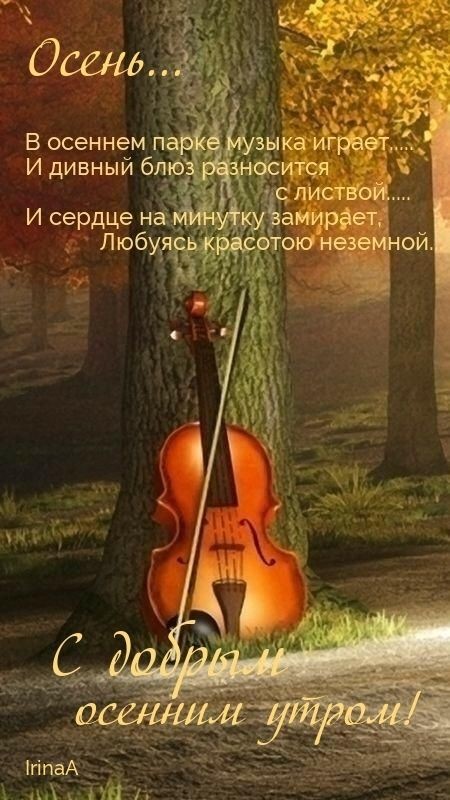 ab8e76283ca3de4c7398ddff846e61e6.jpg