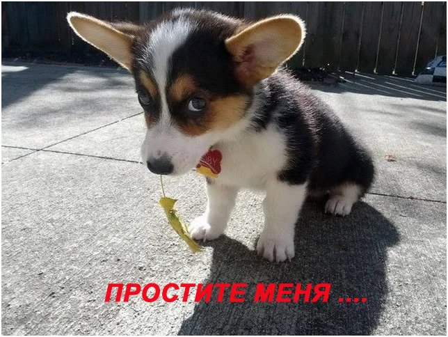 abcKpДДД копия.webp