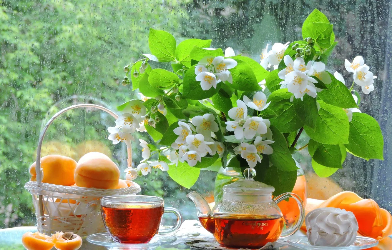 abrikosy-buket-dozhd-zhasmin-zefir-leto-natiurmort-okno-pred.webp