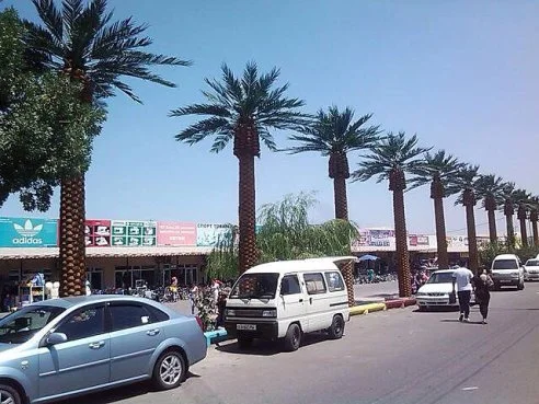 Абу Сахий пальмы.webp