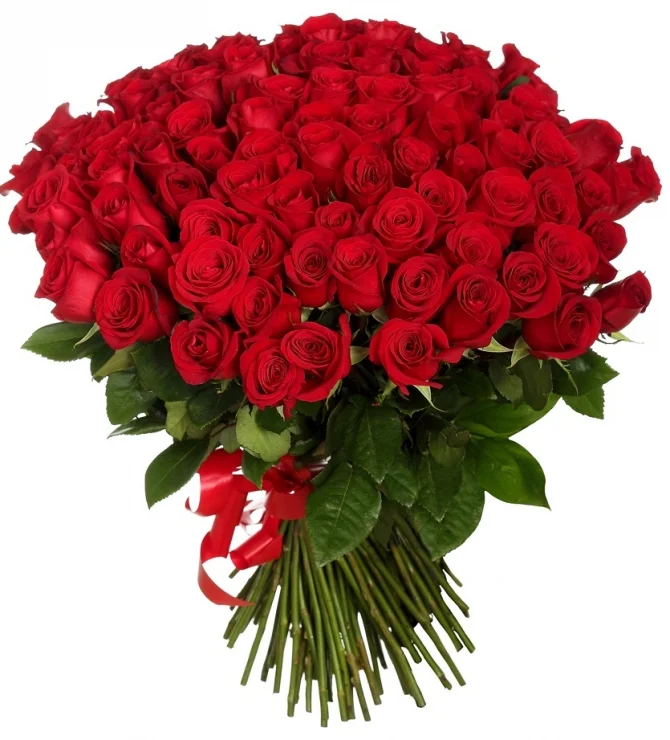 ac12b31f10cc3a08d1bd9edde996f8dd.webp