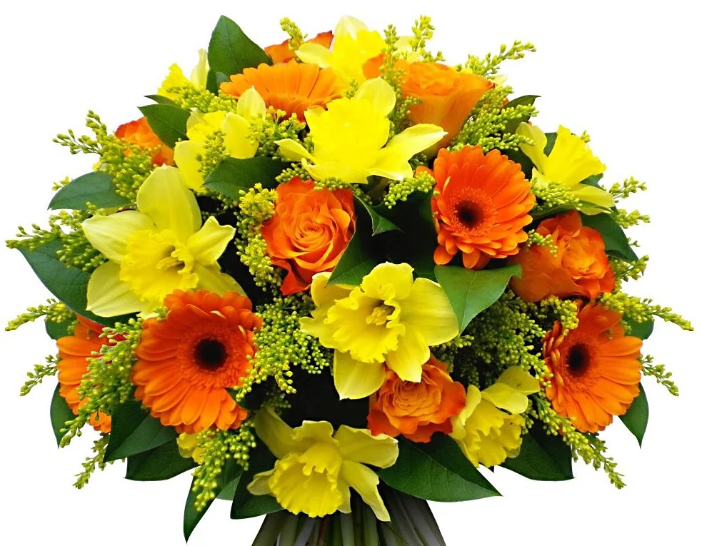 ac153793d53a84ab1ae048013b8c785b.webp