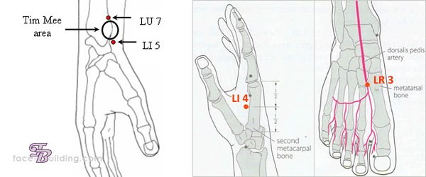 acupoints-stop-smoking-2.gif